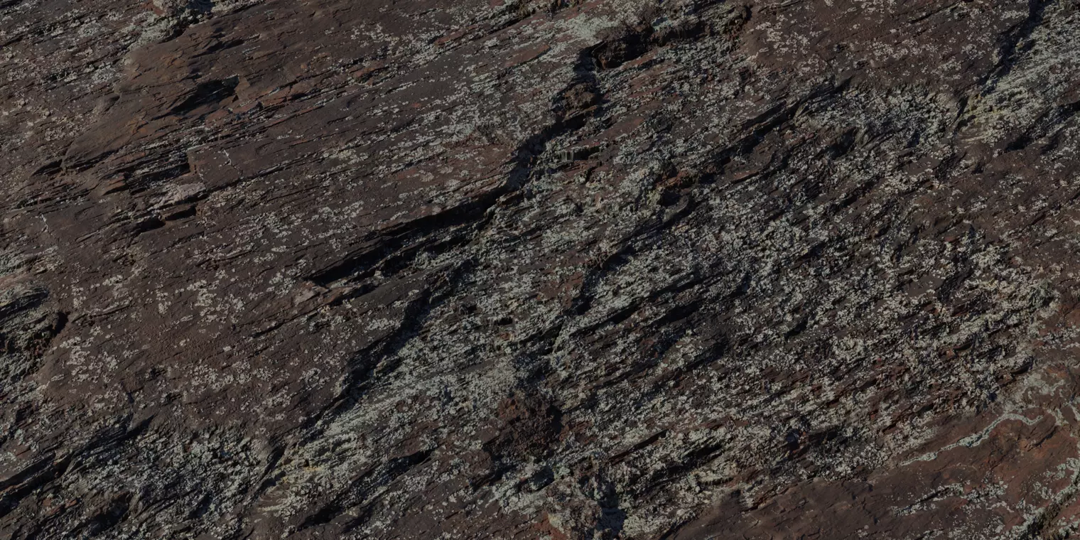 Mossy Wet Layered Rock Texture Texture_1