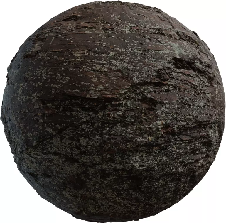 Mossy Wet Layered Rock Texture Texture_0