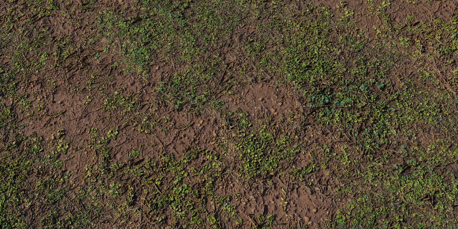 Wet Muddy Soil With Green Grass Sprouts Texture_1