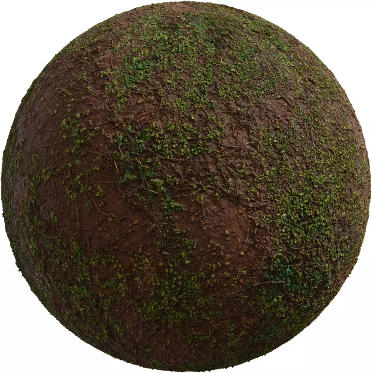 Wet Muddy Soil With Green Grass Sprouts Texture_0