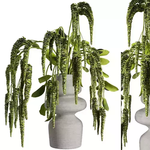 Bouquet set 56 3D model