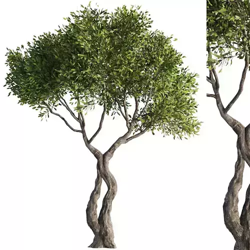 Tree Set38 3D model