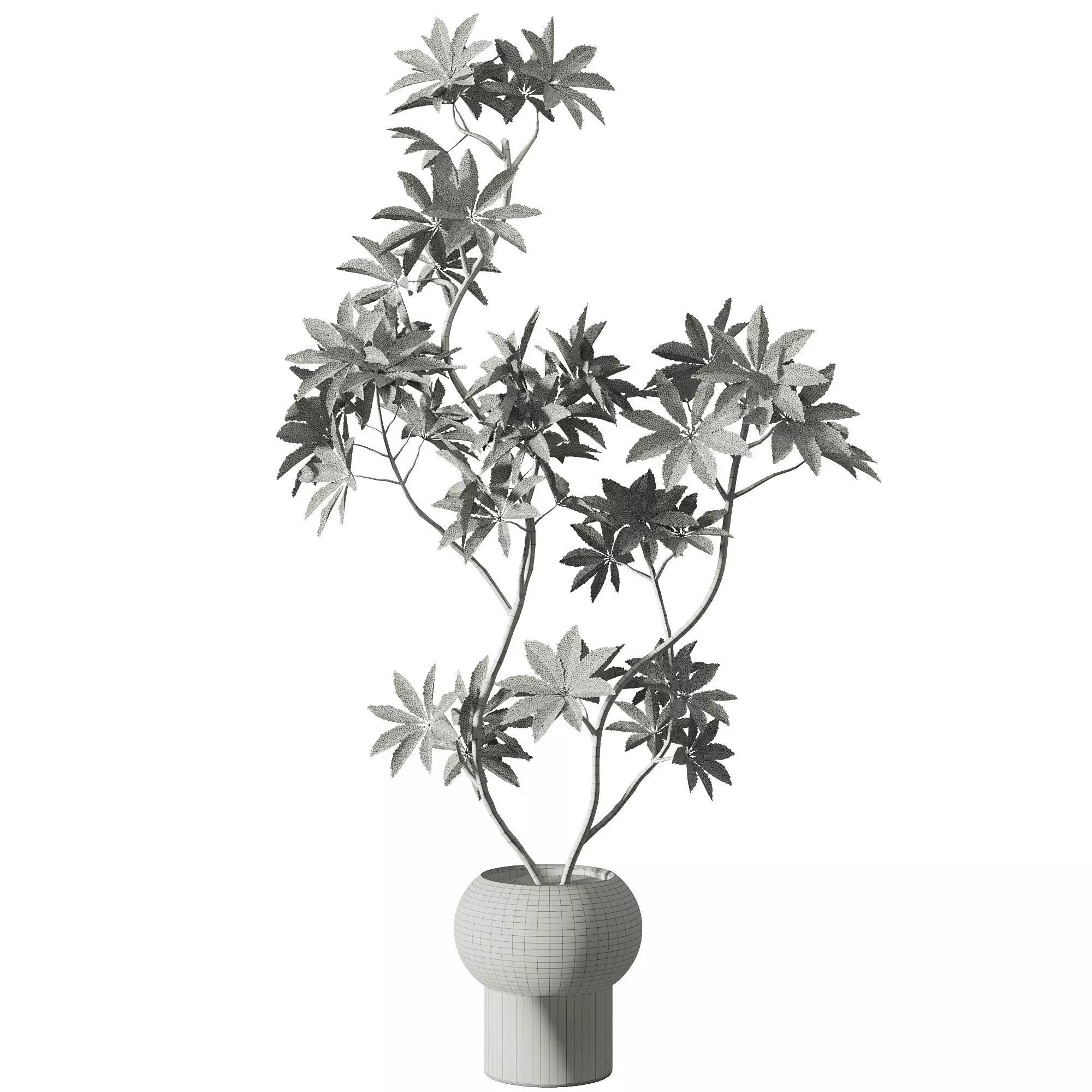 Indoor Plants Set 102 3D model_3
