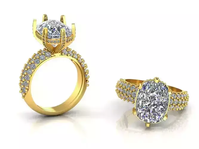 Elegant Engagement Ring