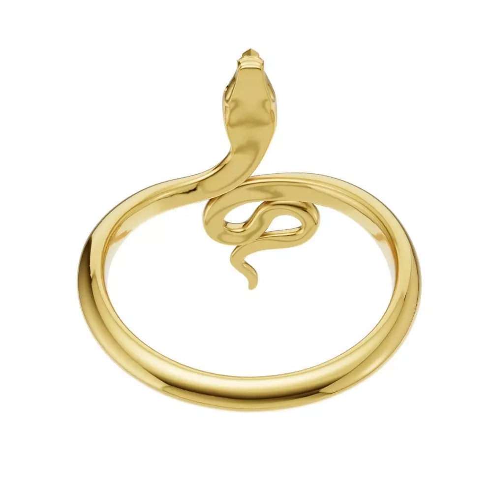 Ring Snake0017 3D print model_2