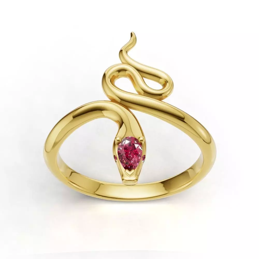 Ring Snake0017 3D print model_0