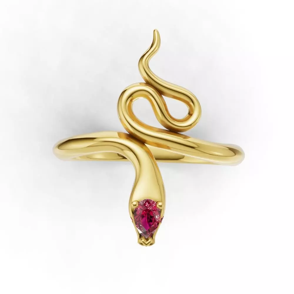 Ring Snake0017 3D print model_1