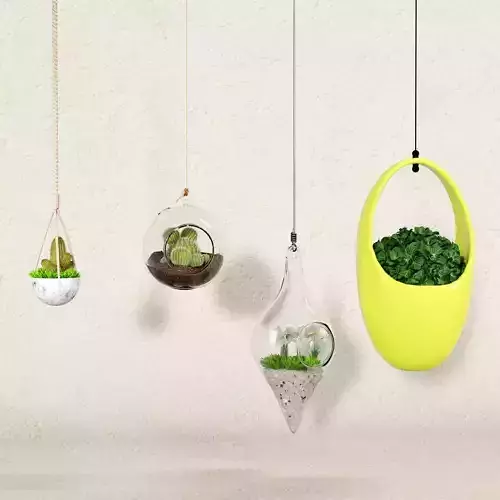 decorative hanging plant