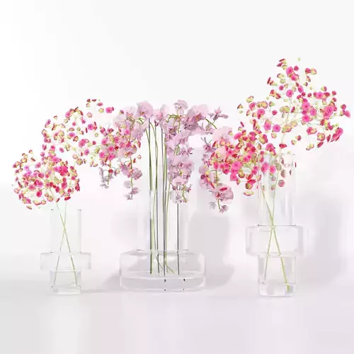 Flower plant set