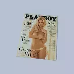 Playboy cover of magazine Free 3D model