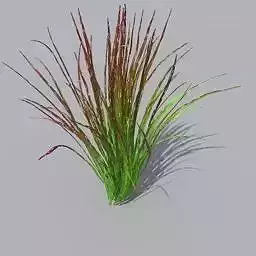 grass Free 3D model