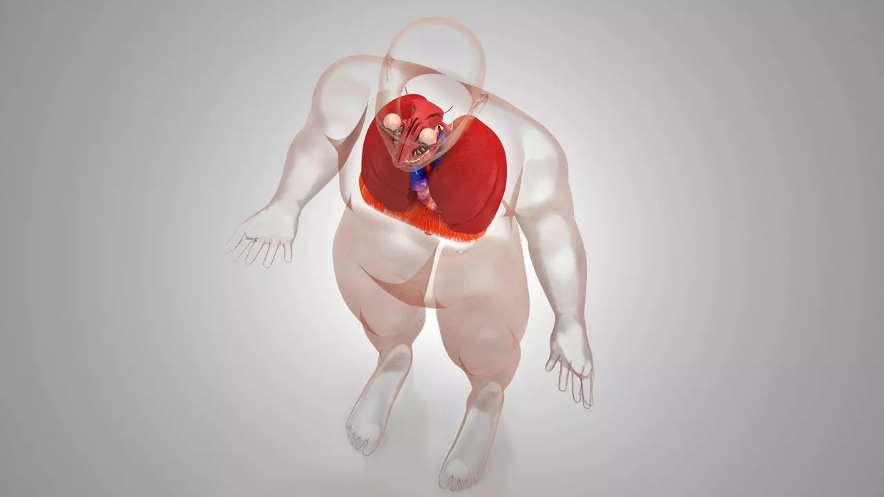 Complete Human Anatomy 3D model_61