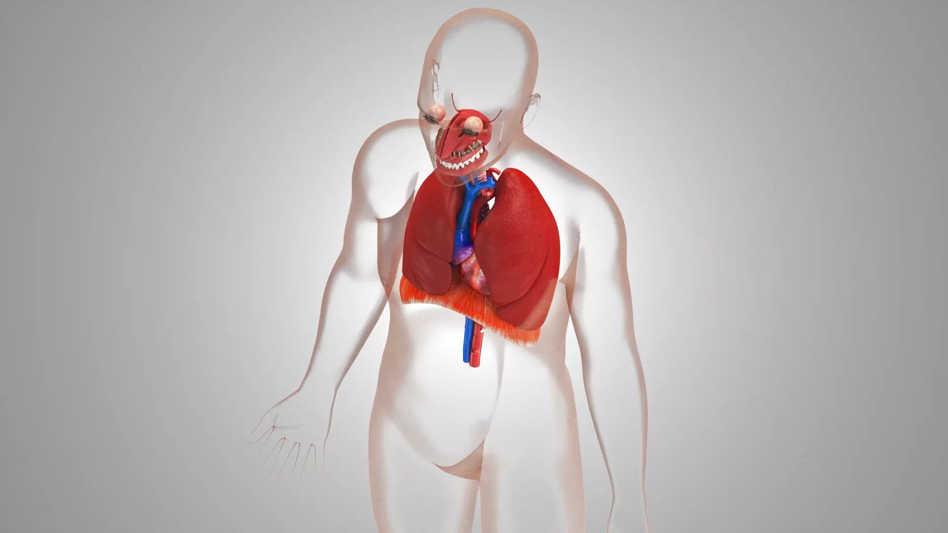 Complete Human Anatomy 3D model_64