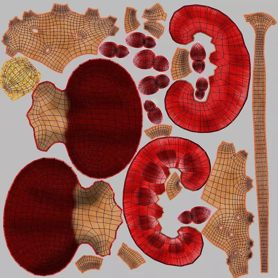 Complete Human Anatomy 3D model_110