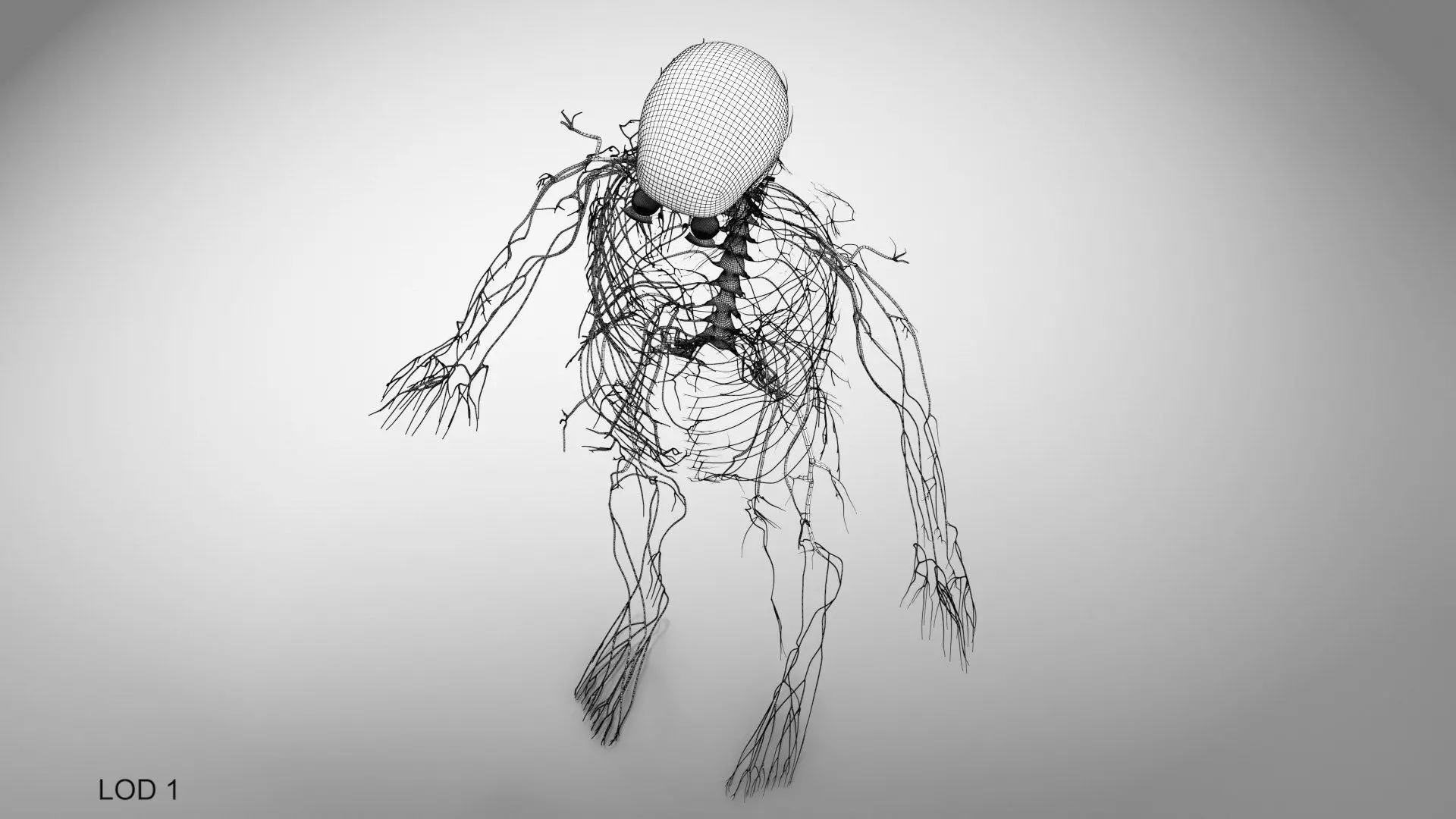 Complete Human Anatomy 3D model_103