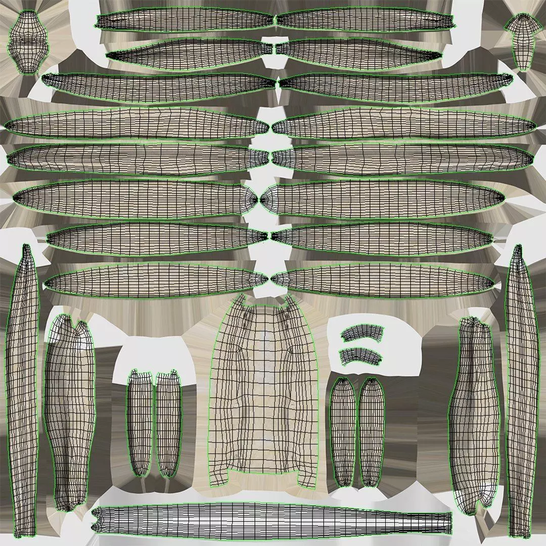 Complete Human Anatomy 3D model_114