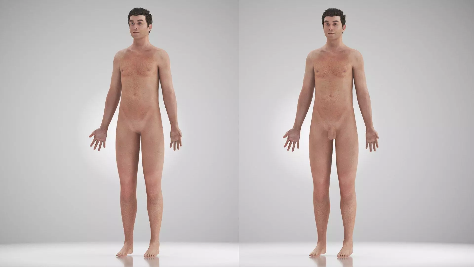 Complete Human Anatomy 3D model_22