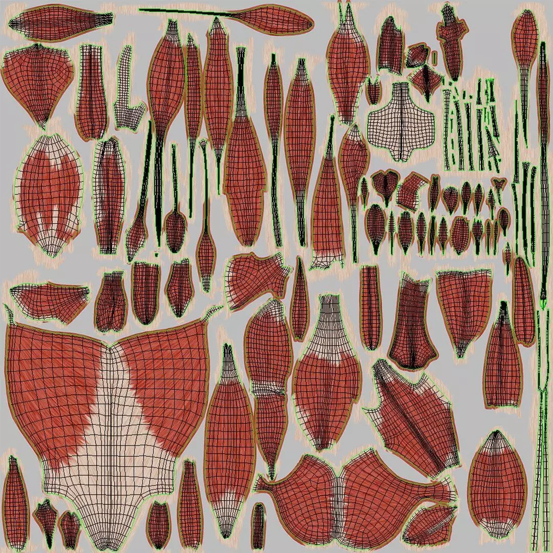 Complete Human Anatomy 3D model_127