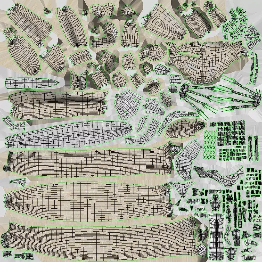 Complete Human Anatomy 3D model_128