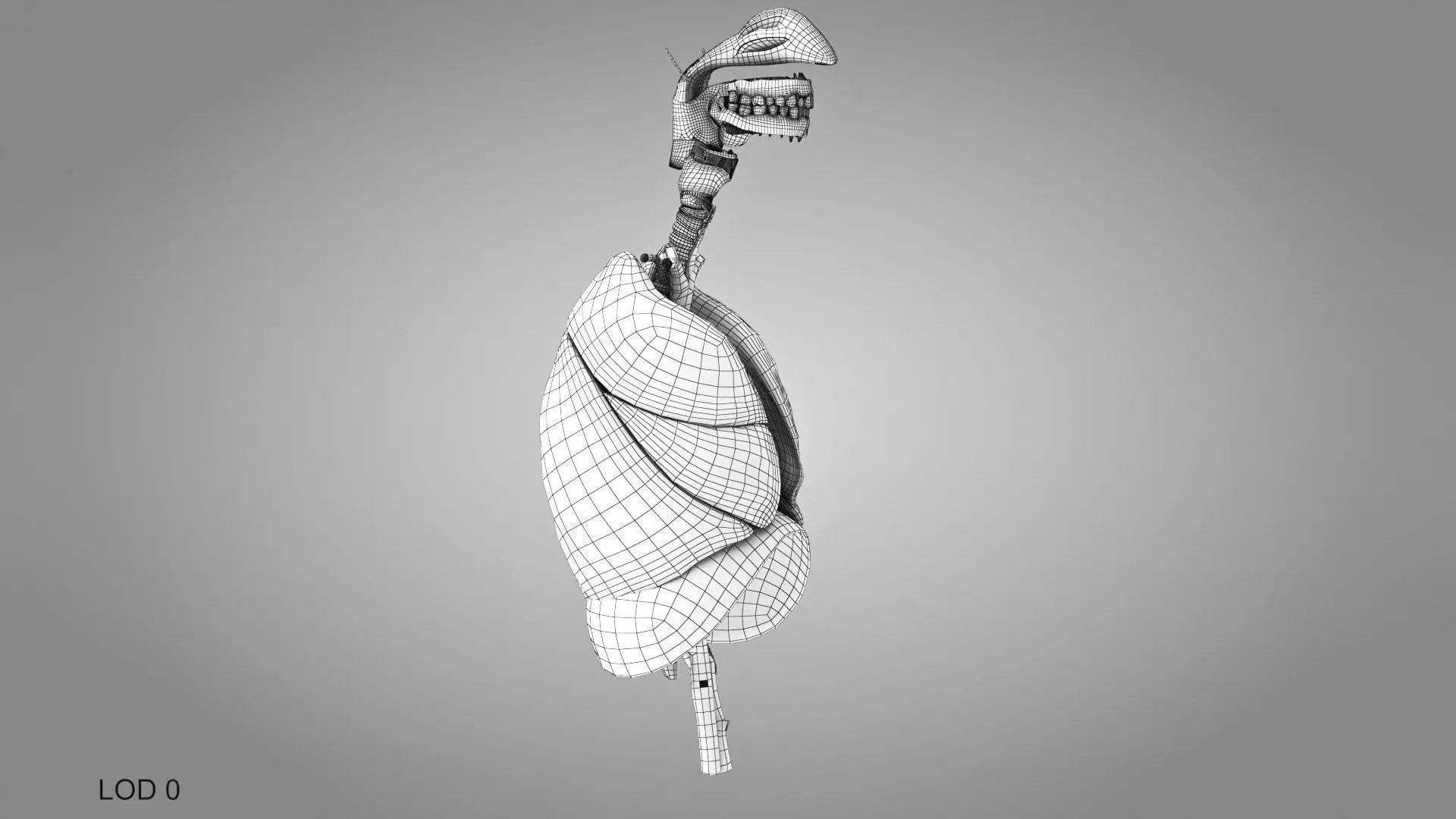 Complete Human Anatomy 3D model_96