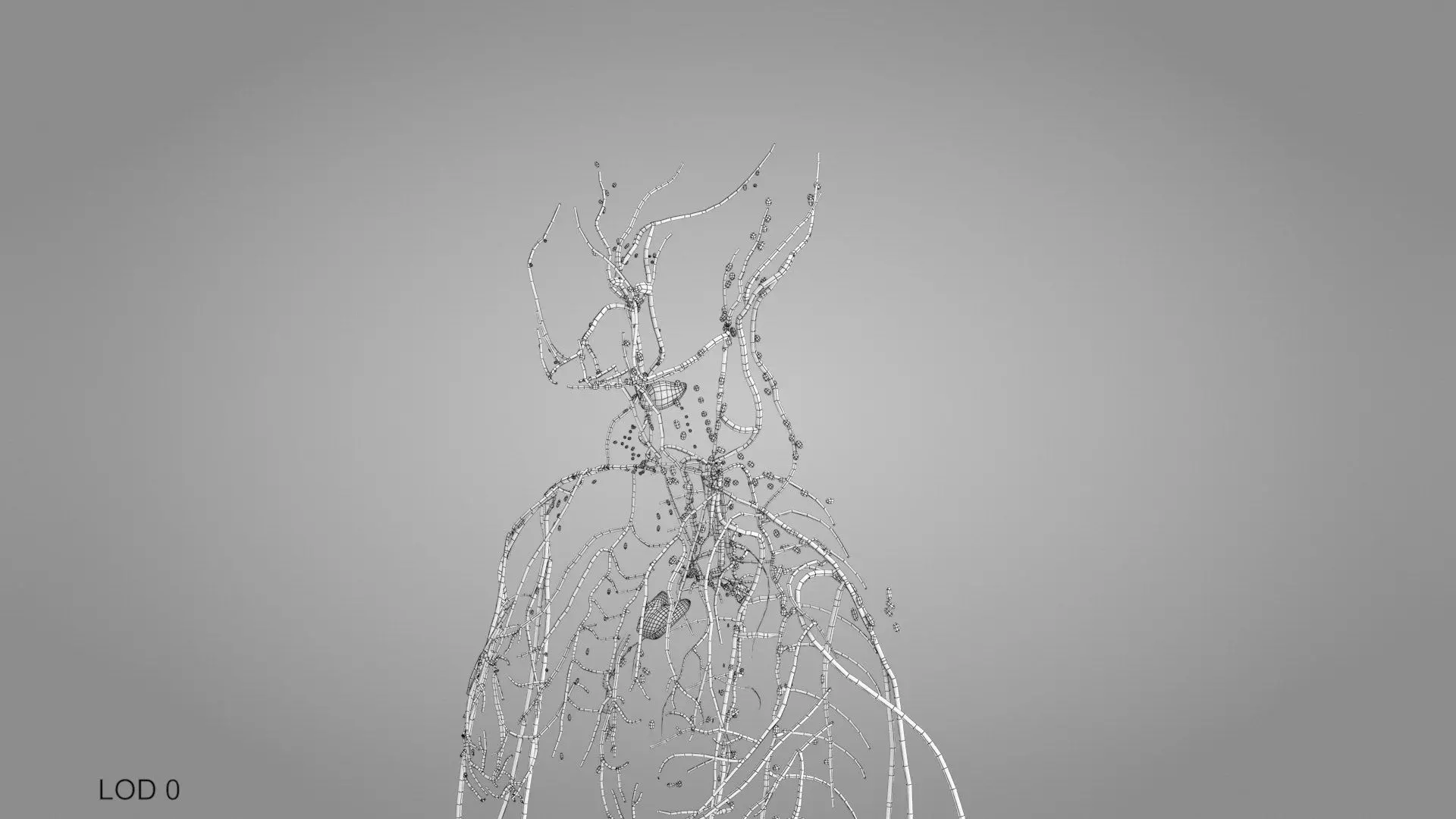 Complete Human Anatomy 3D model_89