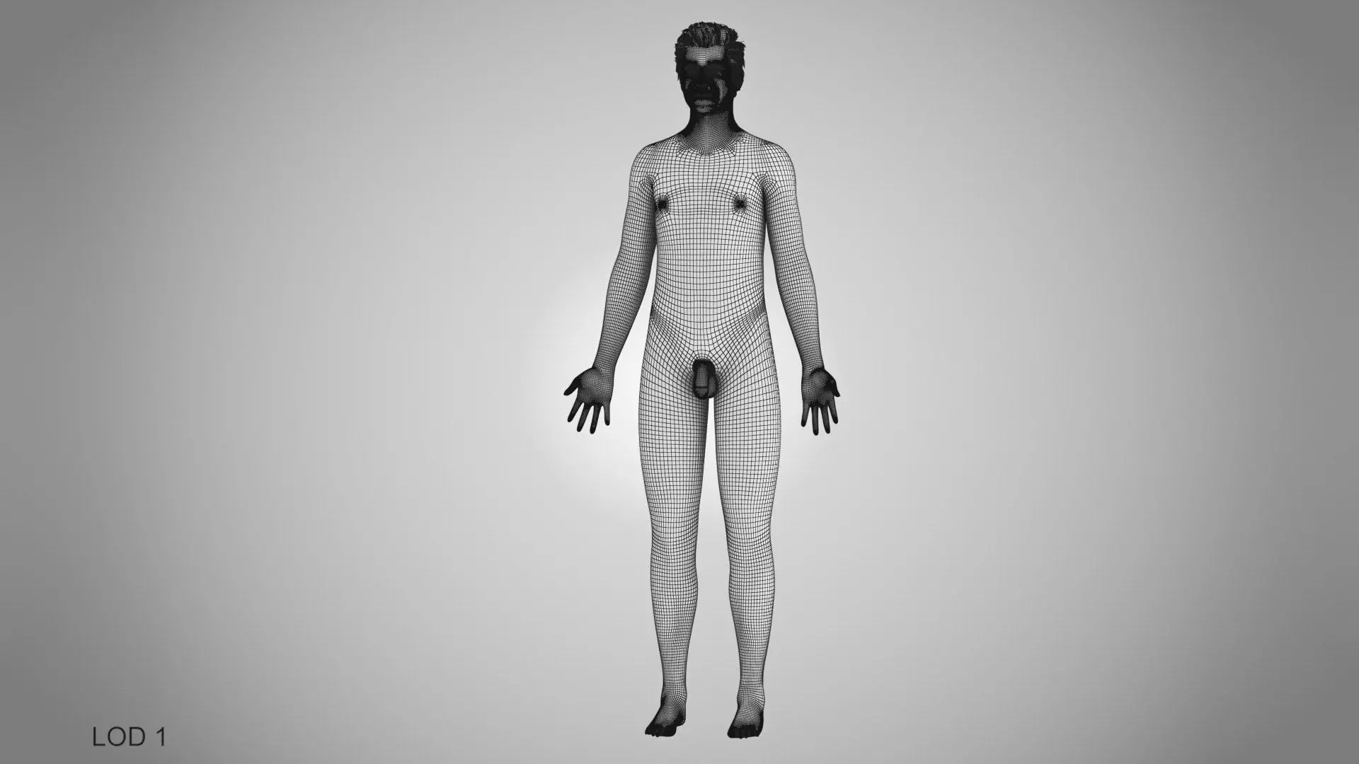 Complete Human Anatomy 3D model_90