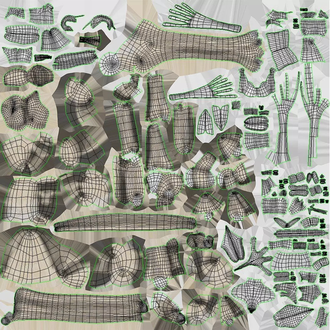 Complete Human Anatomy 3D model_118