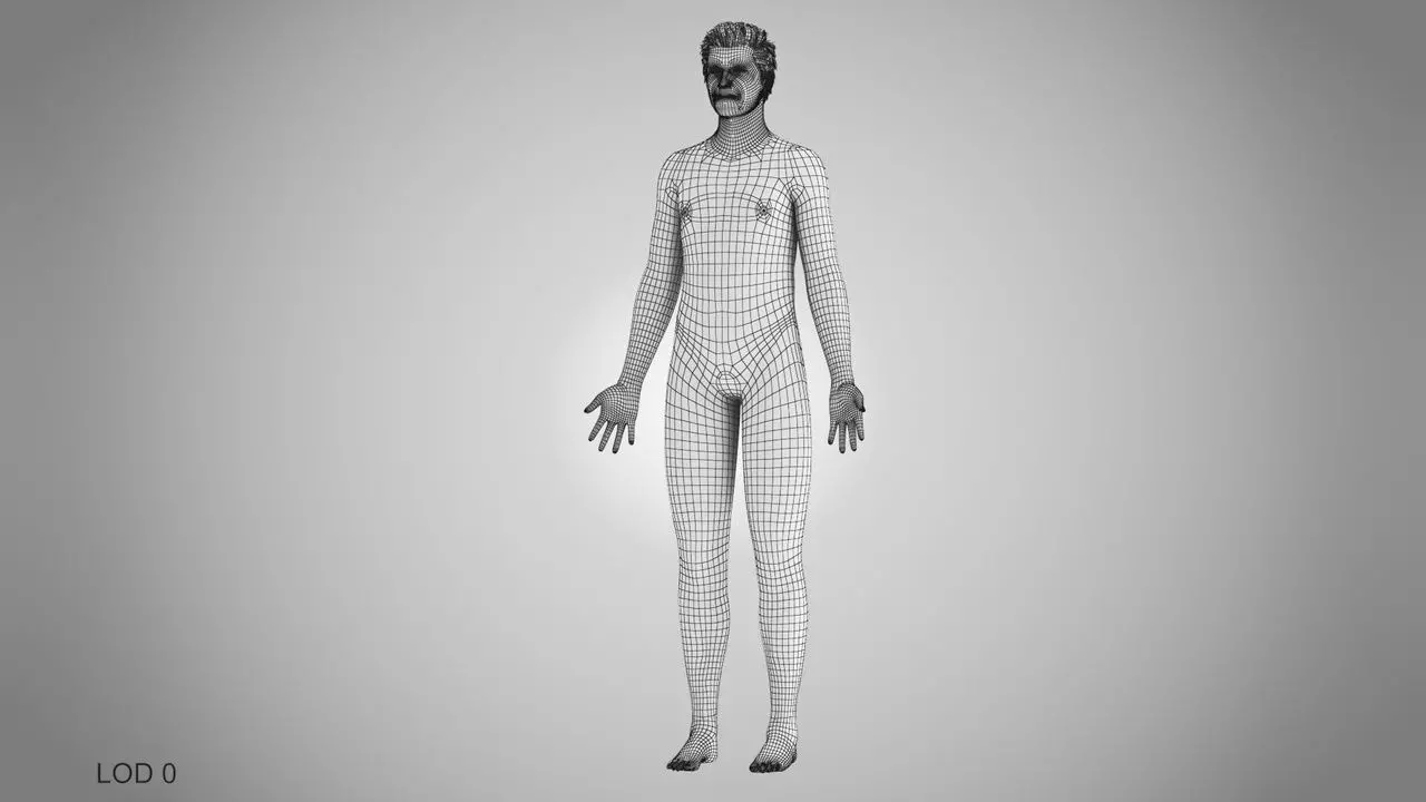 Complete Human Anatomy 3D model_59