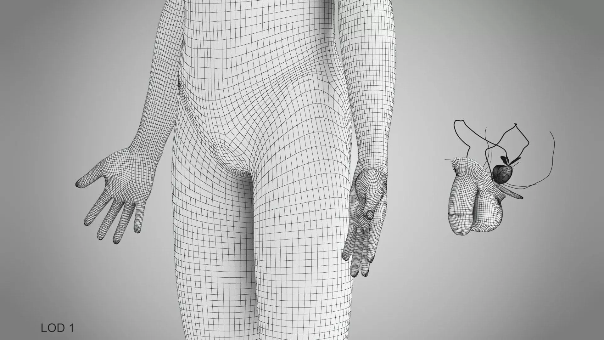 Complete Human Anatomy 3D model_98