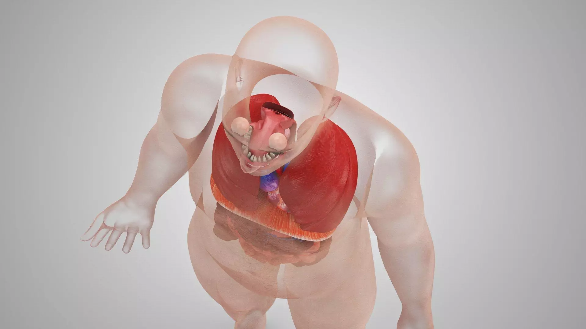 Complete Human Anatomy 3D model_77