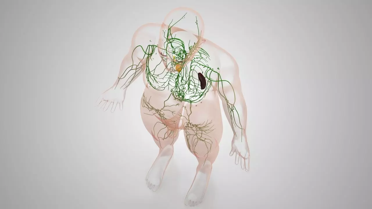 Complete Human Anatomy 3D model_36