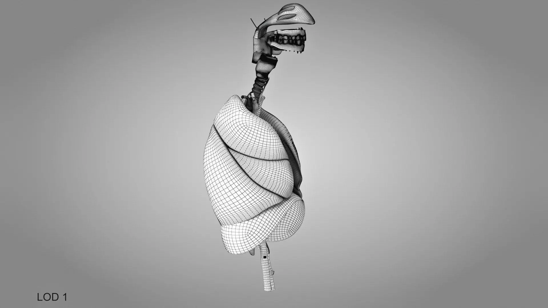 Complete Human Anatomy 3D model_97