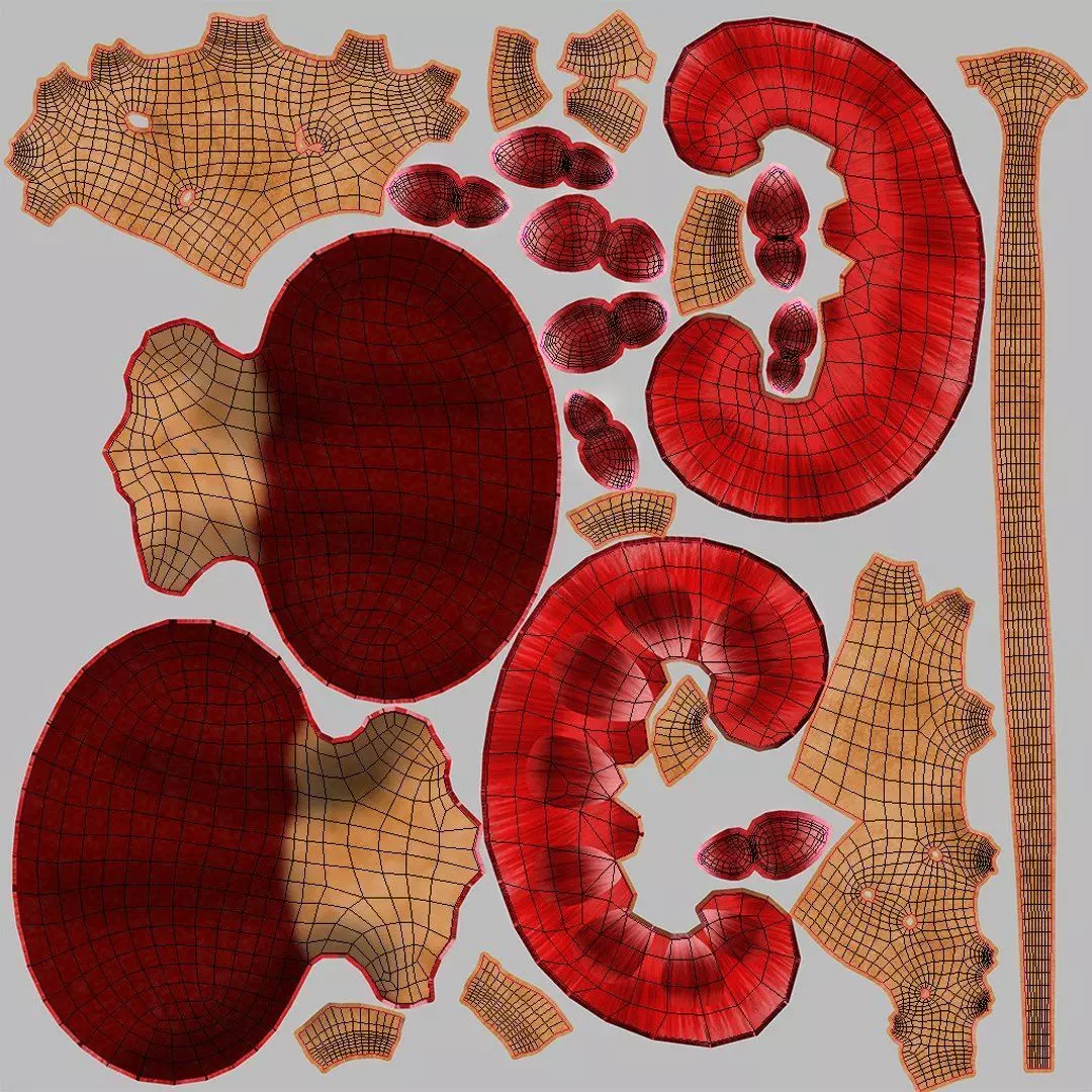 Complete Human Anatomy 3D model_87