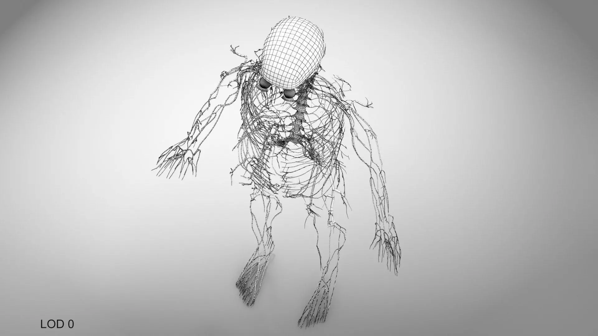 Complete Human Anatomy 3D model_102
