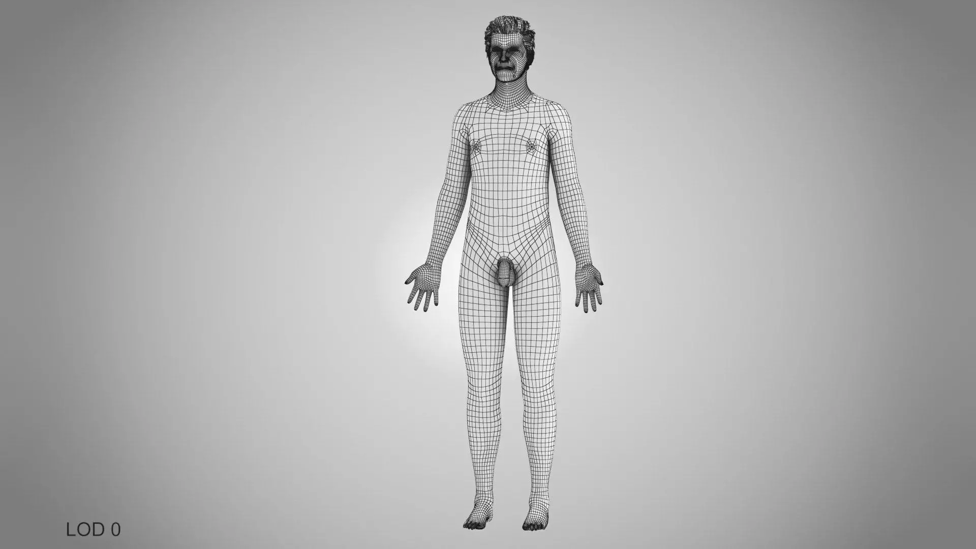 Complete Human Anatomy 3D model_88