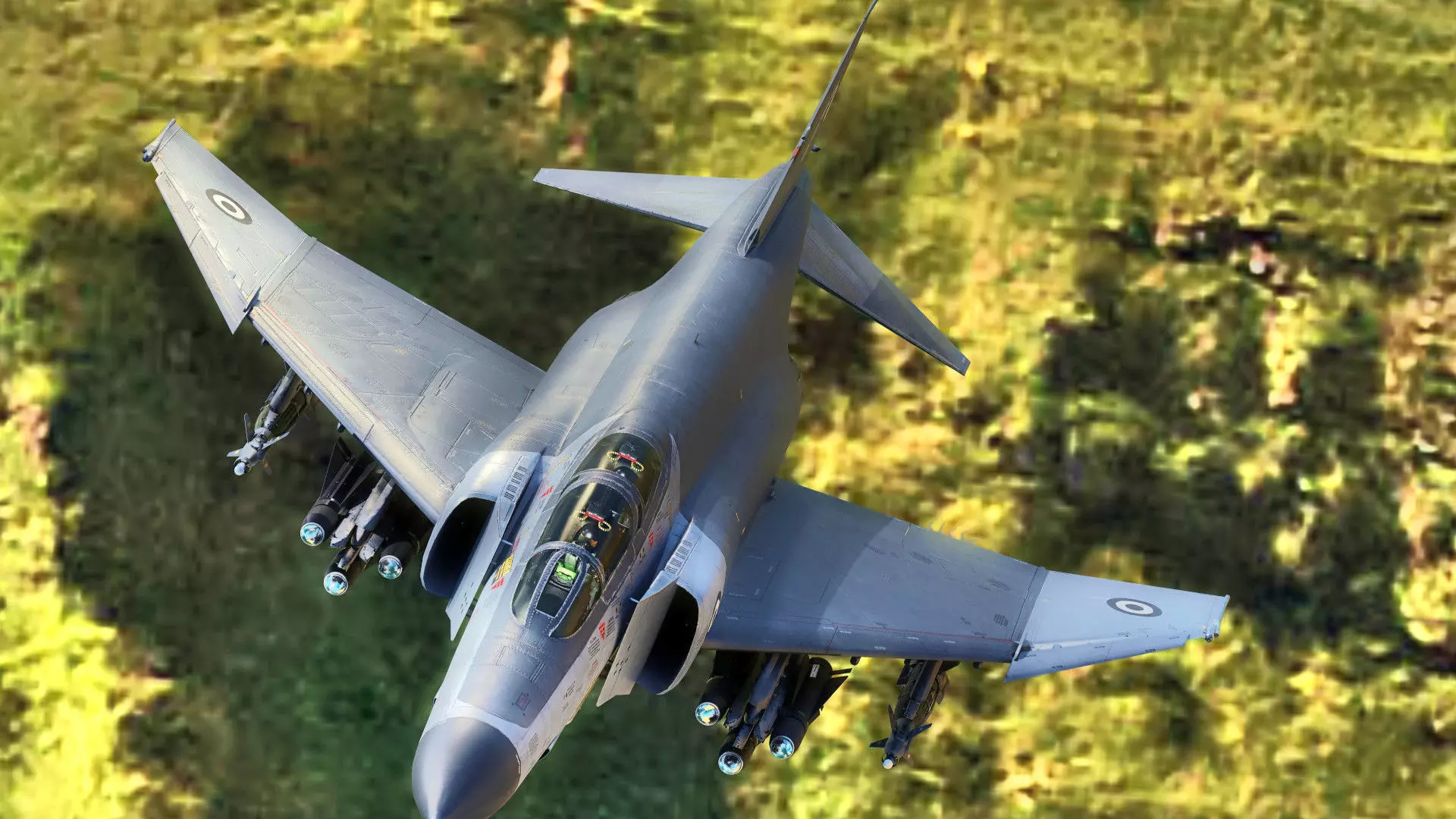 F4 Phantom 2  Grey-with Cockpit-Fully Rigged-High Resolution Low-poly 3D model_0