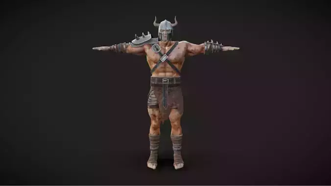 Barbarian 07 - Read the Description