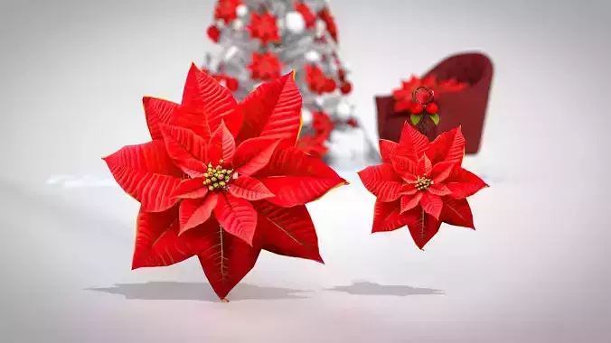 Christmas Red Flowers Pouf and Pillow 3D Model