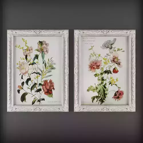 Picture Frames