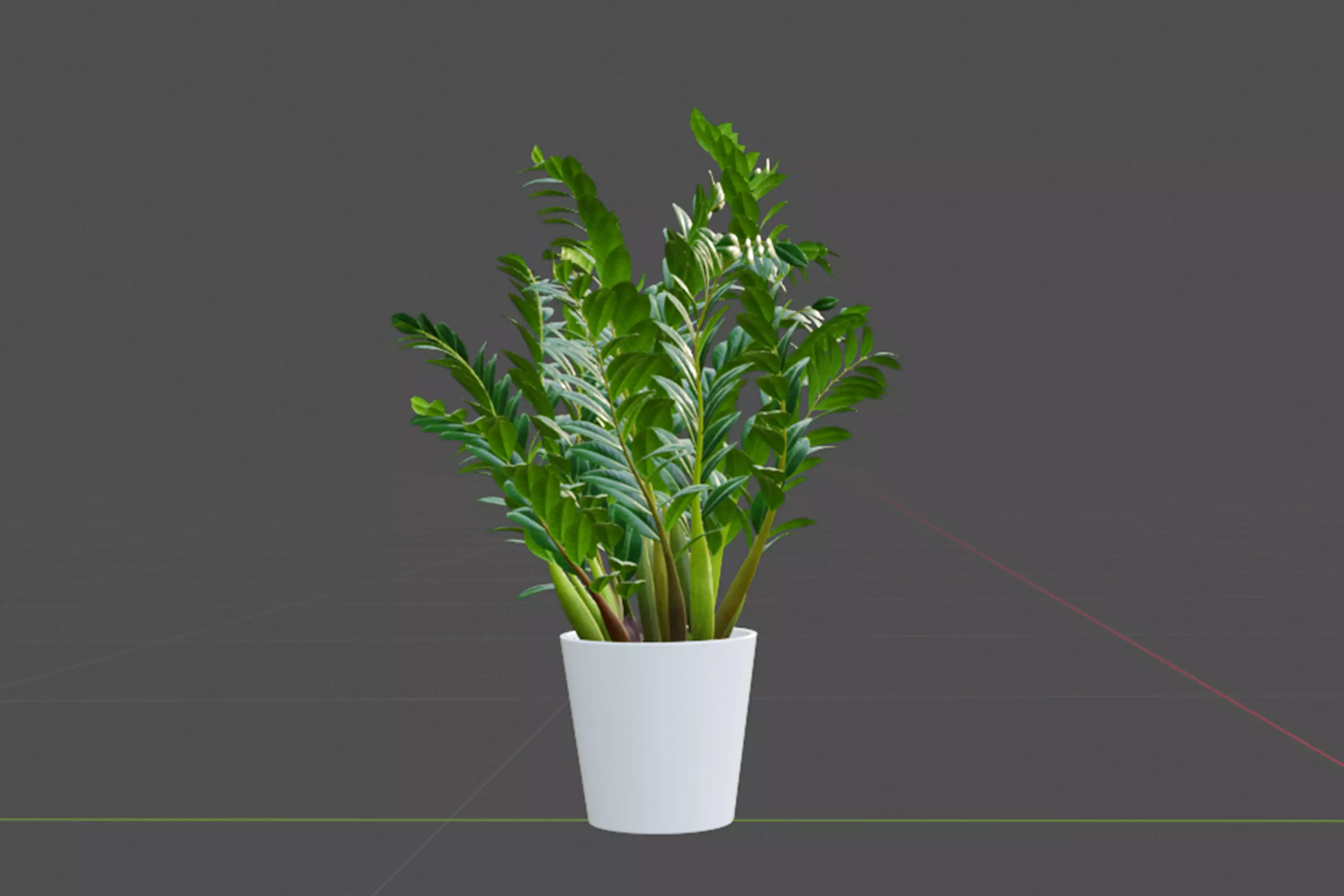 Plants 3D model_5