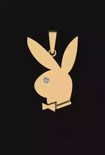 PLAY BOY BUNNY 