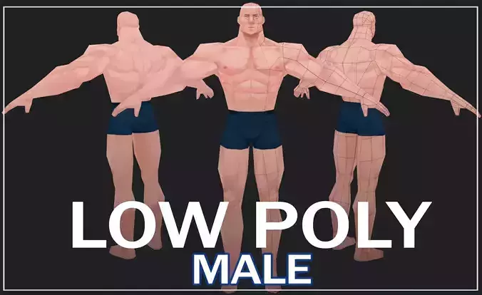 LOW POLY MALE  Low-poly 3D model
