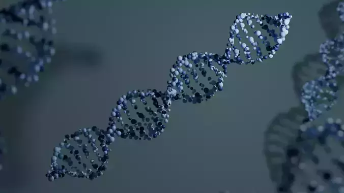 FREE Customizable Low-Poly DNA Strand