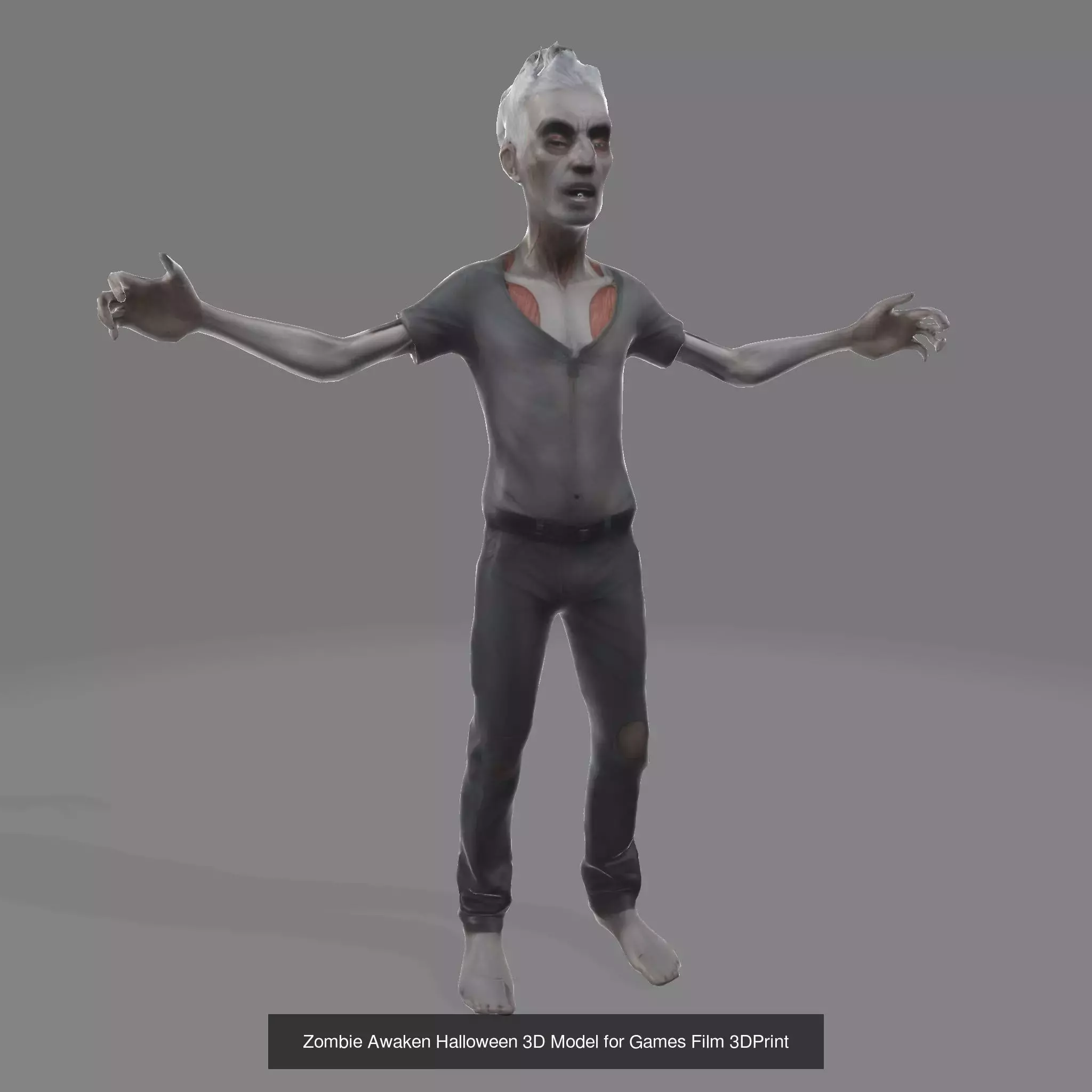 13 Nightmare Legionv Horror Character Figurines  3D Model Collection_4