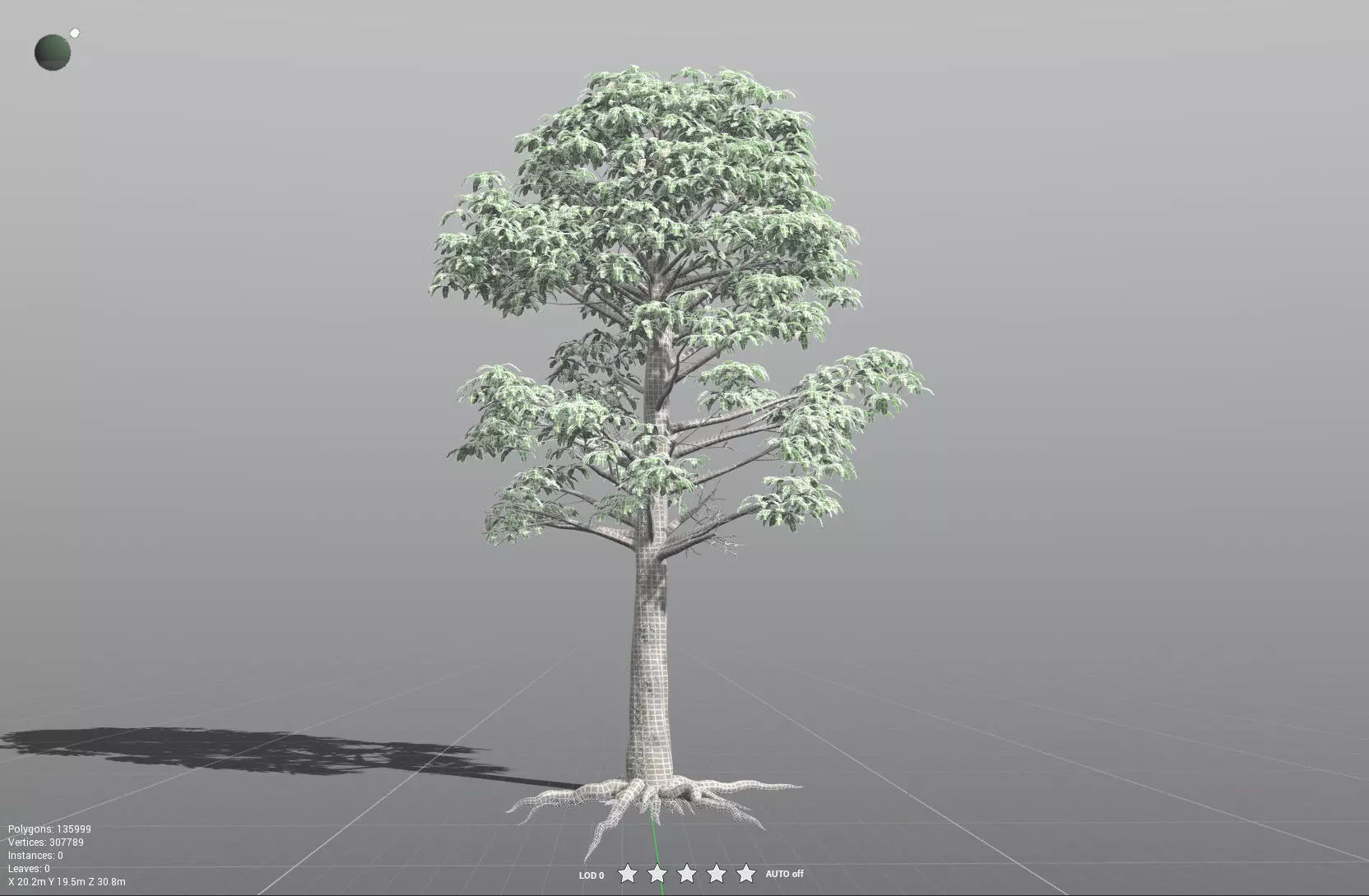 EVERYPlant Glossopteris Communis 3D model_40