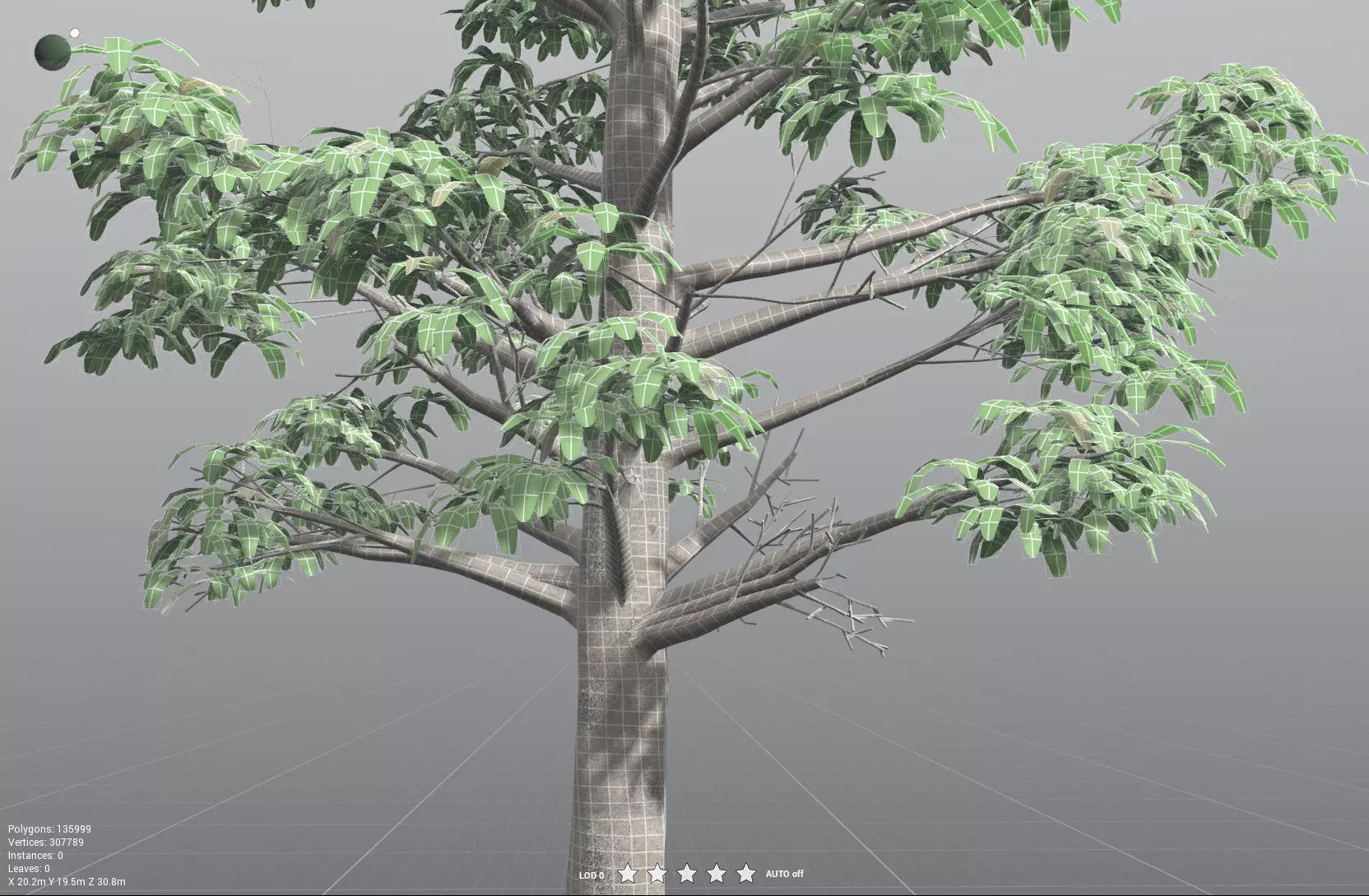 EVERYPlant Glossopteris Communis 3D model_41