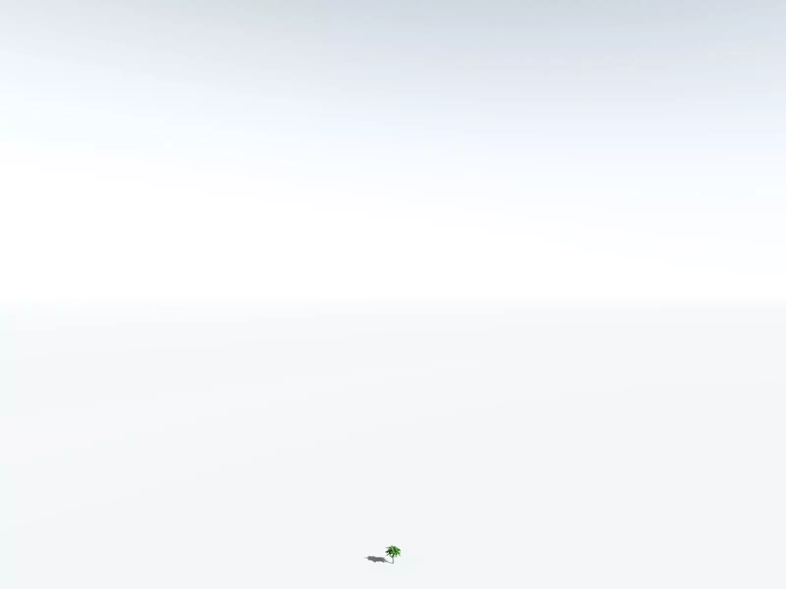 EVERYPlant Glossopteris Communis 3D model_38