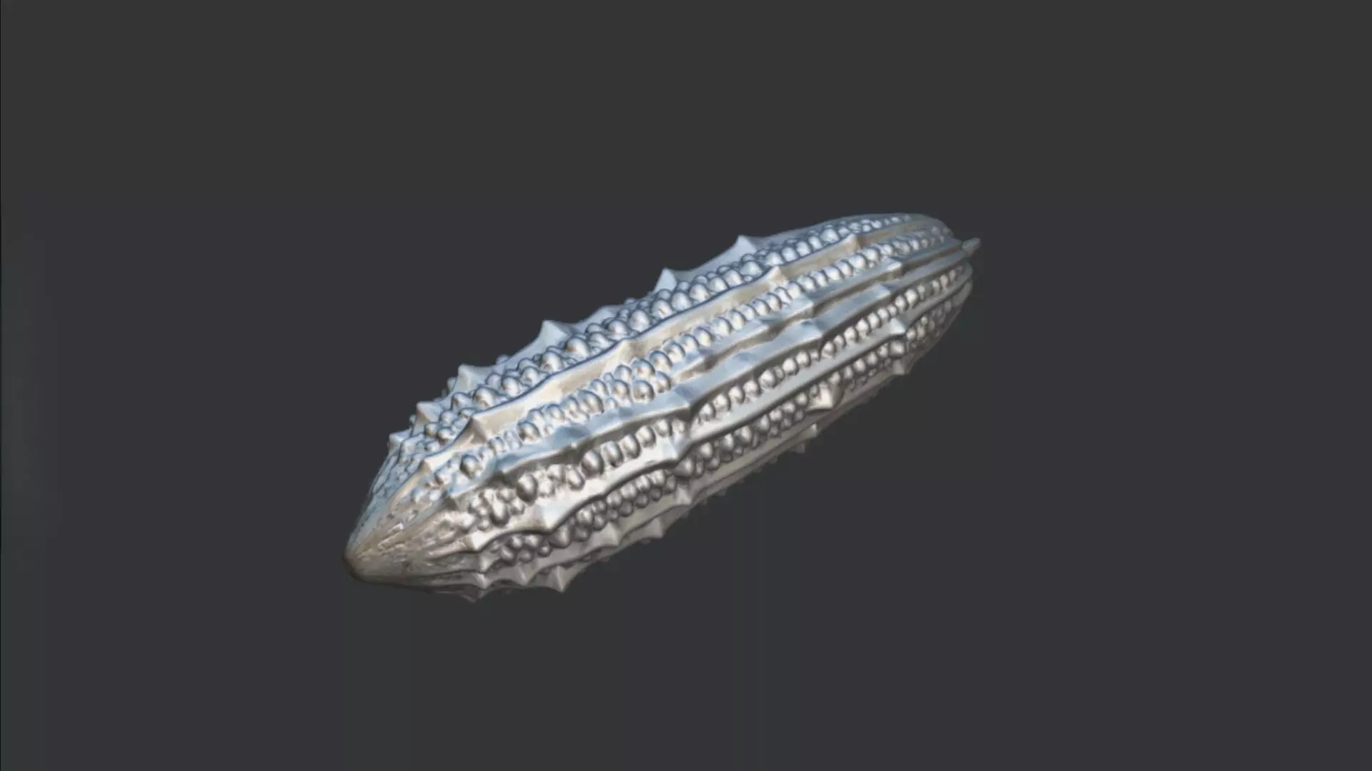 Bitter Melon 3D model_1