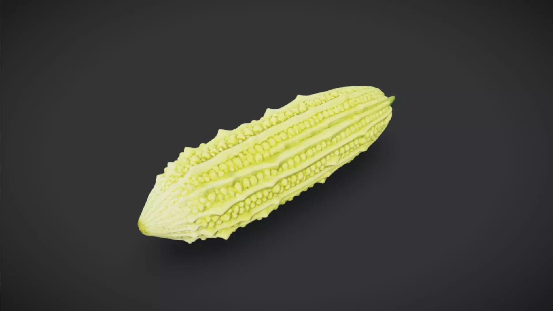 Bitter Melon 3D model_0