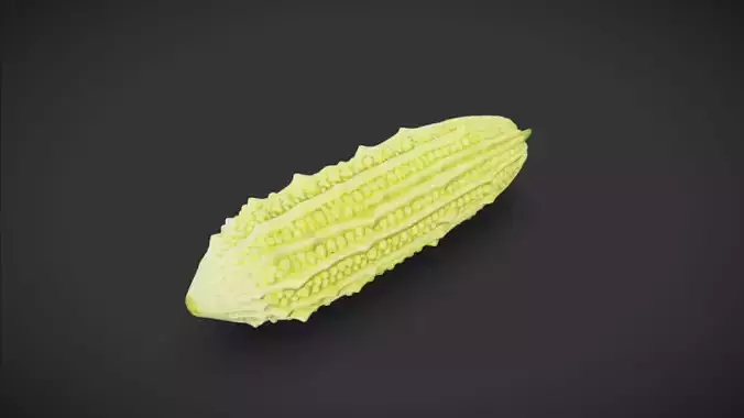 Bitter Melon 3D model